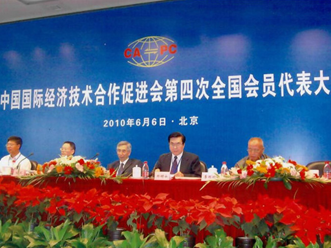 2010年6月6日中促会第四届换届选举大会主席台-(6)