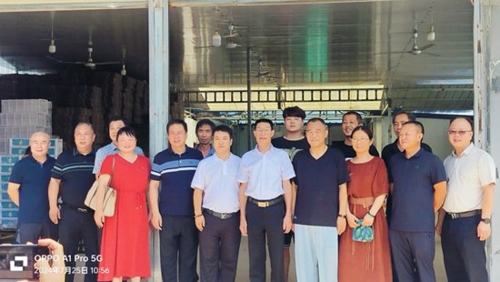 图片15