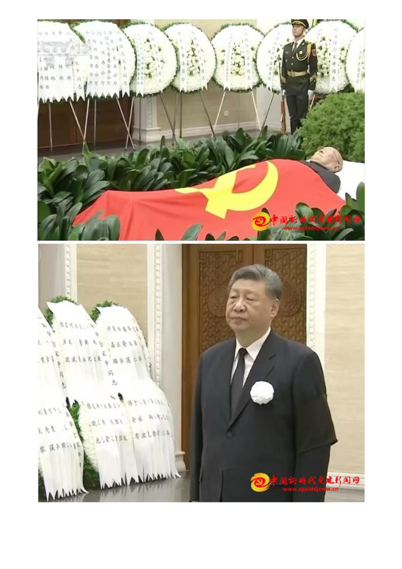 中经在线--深切缅怀革命前辈 传承红色初心使命——参加宋平同志追悼会有感_4